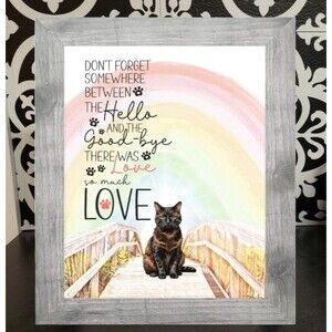 Framed Tortoiseshell Tortie Cat Memorial Rainbow Bridge Print Wall Hanging Sign